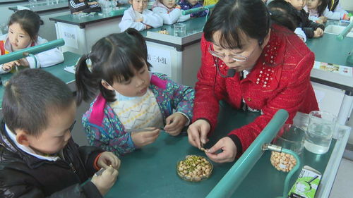 課后延時服務(wù) 以美術(shù)輔導(dǎo)破解“四點半難題”